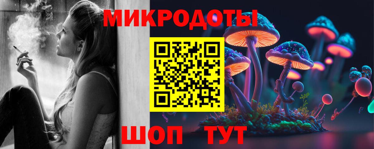Галлюциногенные грибы Psilocybe Железногорск